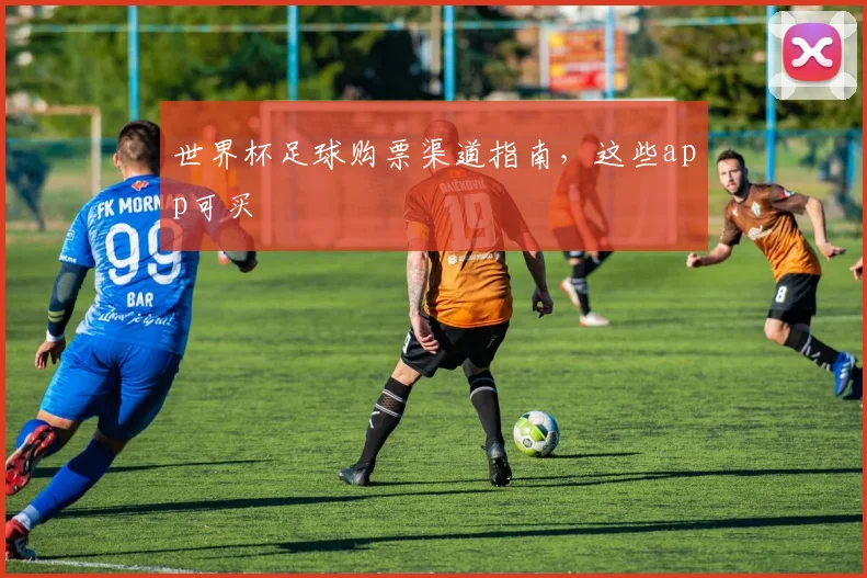 世界杯足球购票渠道指南，这些app可买