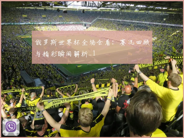 俄罗斯世界杯全场会看:赛况回顾与精彩瞬间解析_1