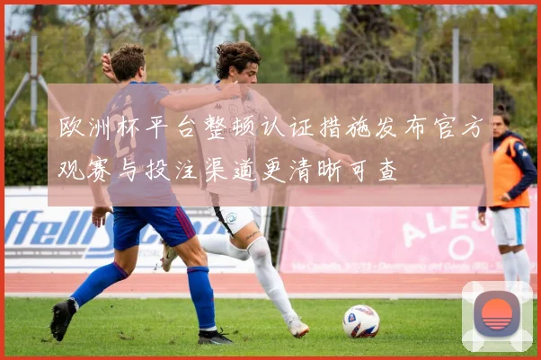 欧洲杯平台整顿认证措施发布官方观赛与投注渠道更清晰可查