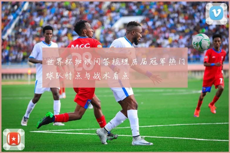 世界杯知识问答梳理历届冠军热门球队特点与战术看点